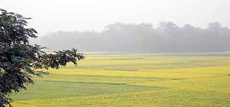 Image gallery that doens't fall apart